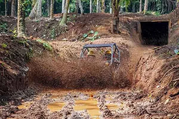 jungle buggy